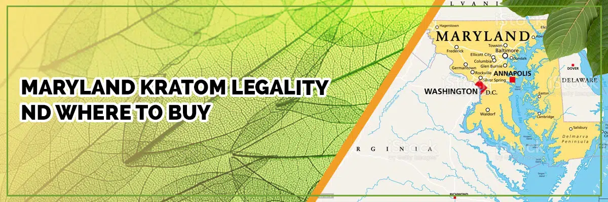 Is Kratom Legal in Maryland? An Overview of Laws and Regulations