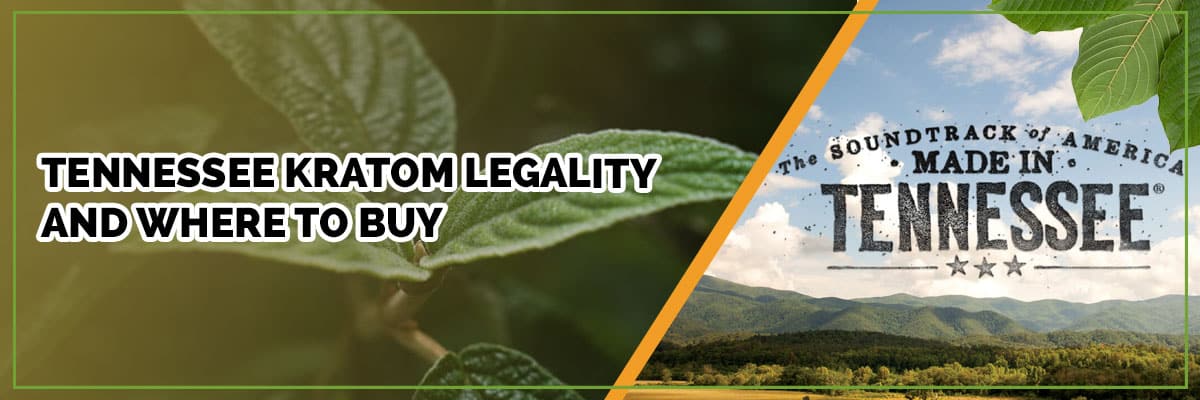 Tennessee Kratom Legality and Where to Buy