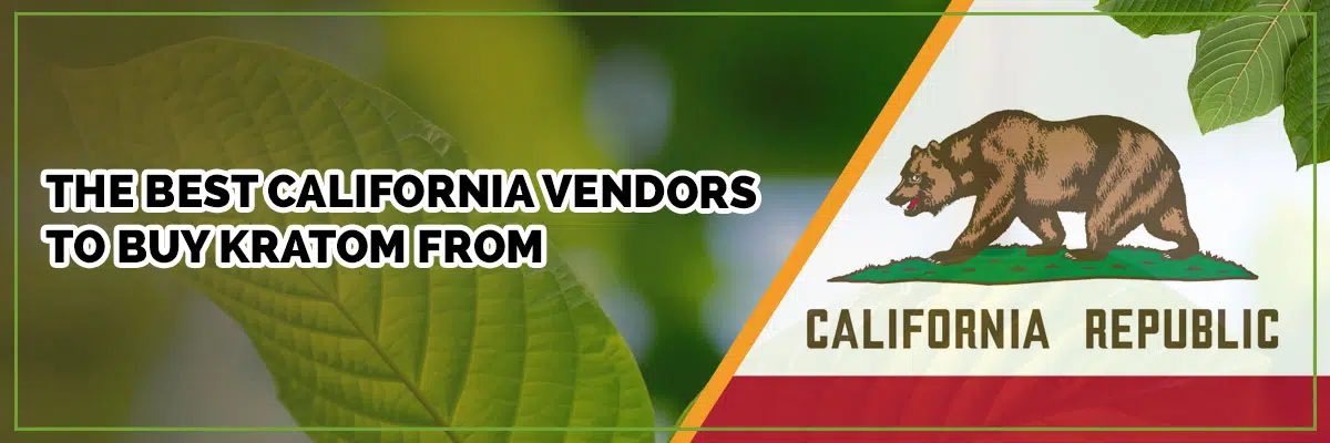 The Best Places to Buy Kratom in California: A Shopper’s Guide