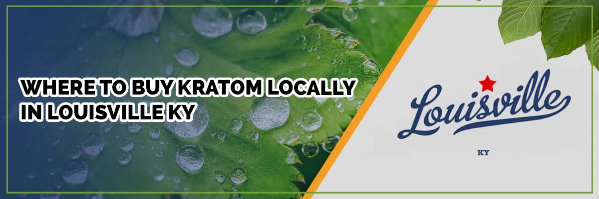 A Complete Guide to Buying Kratom Locally in Louisville, KY