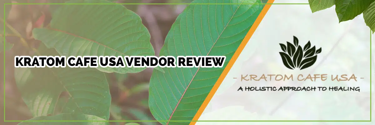 Kratom Cafe USA Vendor Review – What You Need to Know