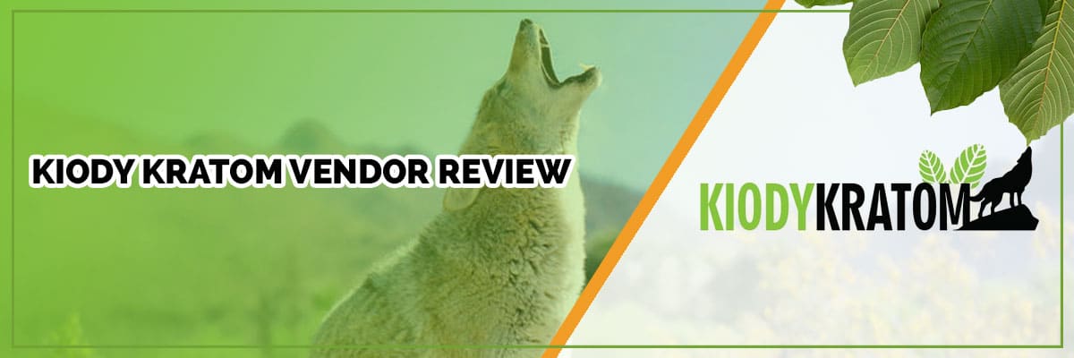 Kiody Kratom Vendor Review