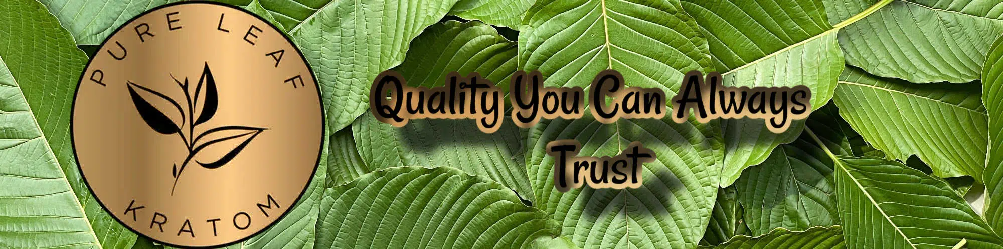 image of pure leaf kratom review