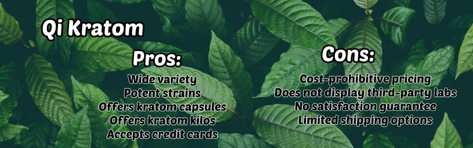 image of qi kratom pros and cons
