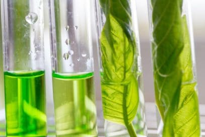 The Different Types of Liquid Kratom Extracts