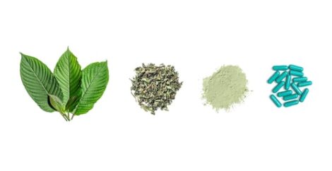 Stan David Botanicals Kratom Vendor Review