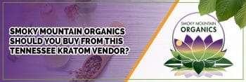 smoky mountain organics : should you buy from this tennessee kratom vendor?
