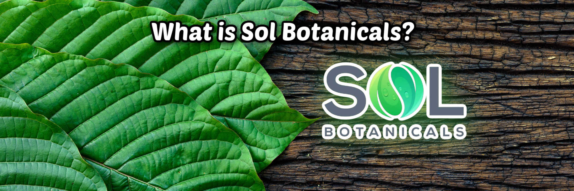 image of what is sol botanicals
