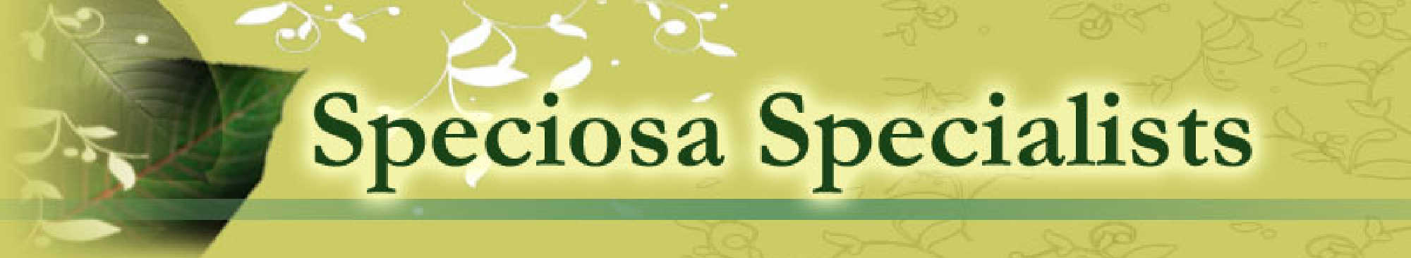 image of speciosa specialists logo