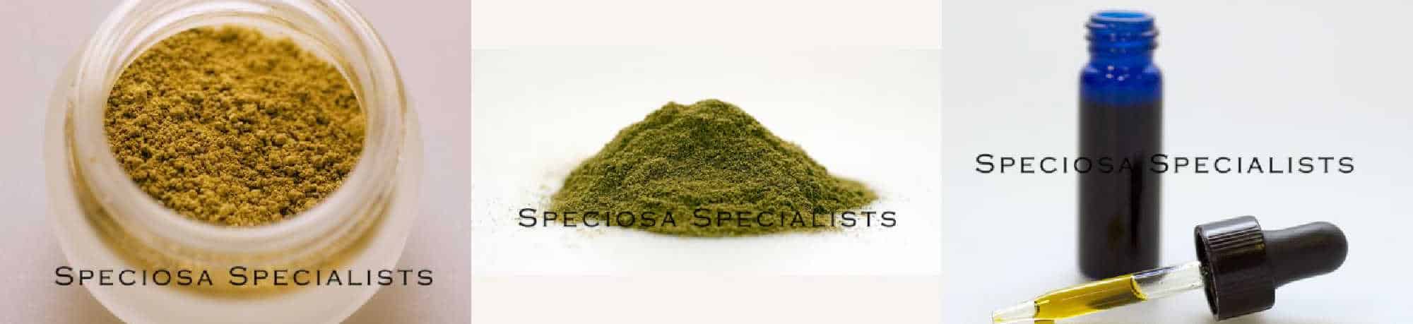 image of speciosa specialists products