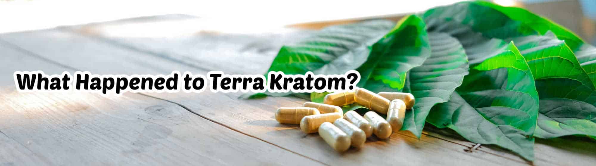 Terra Kratom & the FDA Crackdown : What You Need to Know