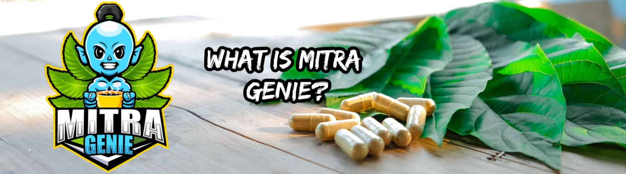 Mitra Genie : Is This International Kratom Brand Any Good?